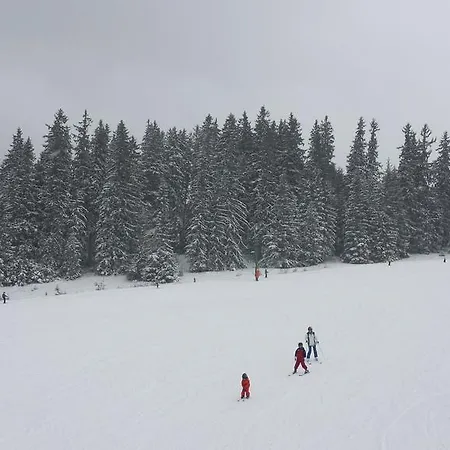Domcek Adam A Eva دونوفالي